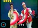 《杨八姐游春》全本 超越韩子平董伟版本的正戏作品下载