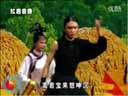 《阴魂阵》之《扎花帐》赵本山弟子传统正戏