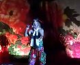 苗苗 虎妞 歌曲《自由飞翔》正戏《马前泼水》下载