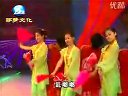 超好看的单出头《新王二姐思夫》赵晓波
