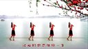 金灿灿广场舞《今生最美的遇见》下载