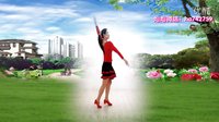 金灿灿广场舞《心甘情愿爱着你》正反面附分解下载