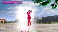 金灿灿广场舞《财神驾到》正反面附分解下载