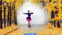 2016年最新广场舞《太想念》阿采广场舞 编舞青儿下载