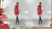 2016最新DJ版《恶棍天使》阿采广场舞 编舞凤凰香香下载