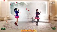 2016年最新DJ《太想念》阿采 飞采 合屏  编舞青儿下载