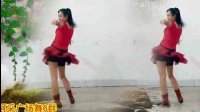 2016年最新广场舞DJ下定决心忘记：阿采广场舞91  含分解和背面演示下载