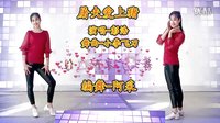 阿采广场舞教学DJ《屠夫爱上猪》 含背面和教学下载