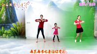 阿采广场舞《屠夫爱上猪》初学者教程下载
