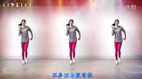 阿采广场舞教学 简单32步 DJ《赤裸离开》下载