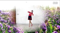 阿采广场舞DJ 2016《春暖花开》 含教学和背面下载