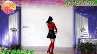 阿采广场舞噼里啪啦过年啦： 编舞青儿下载