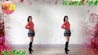 阿采广场舞《许多年以后》dj 编舞青儿下载