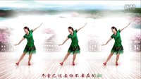 金灿灿广场舞《春暖花又开》附背面演示下载