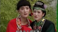 庐剧傻子孝母：魏小波_标清