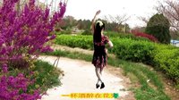 2016最新吕芳广场舞《月光里的新娘》正背面及分解动作下载