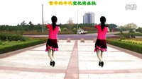 2016最新吕芳广场舞《求求你给点爱》正背面及分解下载