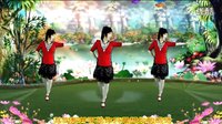 2016最新吕芳广场舞《梦中想着你》正背面及分解动作下载