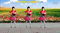 2016年最新吕芳广场舞《闯码头》正背面及分解动作下载