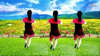 2016最新吕芳广场舞《放下爱情放不下你》简单恰恰舞步 正背面分解下载