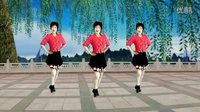 2016年最新吕芳广场舞《暖春》简单好看32步正背面及分解下载