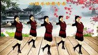 2016最新吕芳广场舞《舞动人生》编舞杨丽萍及分解动作下载
