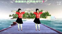 2016年最新吕芳广场舞《爱情伤不起》正背面及分解动作下载