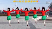 2016简单的吕芳广场舞《说一万句我爱你》正背面及分解动作下载