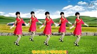 2016最新吕芳广场舞《美美的情歌》春天编舞及分解动作下载