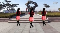 2016最新吕芳广场舞《真心爱你》编舞春天及分解动作下载