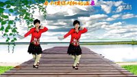 2016最新吕芳广场舞《我情愿做你的手机》正背面及分解动作下载