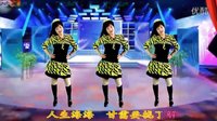 2016最新吕芳广场舞《喜欢就好》编舞杨丽萍及分解动作下载