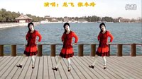 2016最新吕芳广场舞《春暖花又开》正背面及分解动作下载