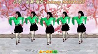 2016最新吕芳广场舞《不能不想你》正背面及分解动作下载