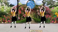 2016最新吕芳广场舞《青春舞曲》正背面及分解动作下载
