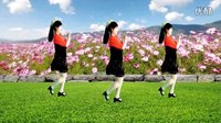 2016最新吕芳广场舞《不做你幸福的玫瑰》32步编舞杨丽萍及分解下载