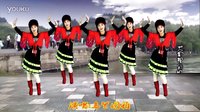 吕芳广场舞《凤凰飞》正背面演示及分解动作下载