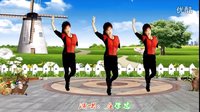 吕芳广场舞《乌来山下一枝花》凤凰六哥编舞及分解动作下载
