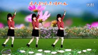 吕芳广场舞《甜甜的小妹》杨丽萍编舞及分解动作下载