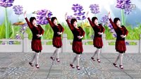 2016最新吕芳广场舞《要爱就爱一辈子》金灿灿编舞及分解下载