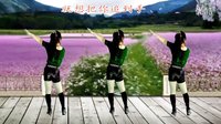 2016最新吕芳广场舞《主要看气质》编舞刘荣及分解动作下载