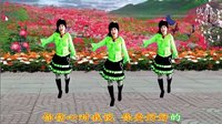 2016最新吕芳广场舞《亲爱的别想我》正背面及分解动作下载