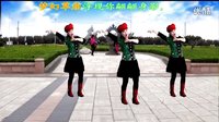 2016最新吕芳广场舞《草原的你》编舞凤凰六哥及分解动作下载