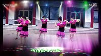 吕芳广场舞队友演示《小路》编舞杨丽萍下载