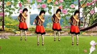 吕芳广场舞《爱人情歌》杨丽萍编舞及分解动作下载