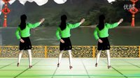 吕芳广场舞《花桥流水》正背面 叶子编舞及分解动作下载