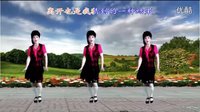 吕芳广场舞《寂寞的人伤心的歌》正背面青儿编舞及分解下载