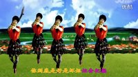 吕芳广场舞正背面演示《不要迷恋姐》下载