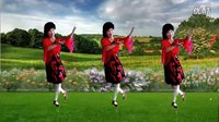 吕芳广场舞《网上这段情缘》正背面演示下载