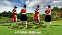 吕芳广场舞《心里刻上你的名字》正背面演示下载